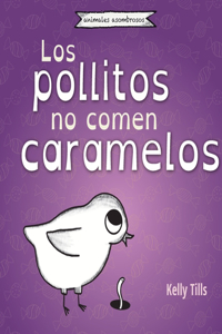 pollitos no comen caramelos