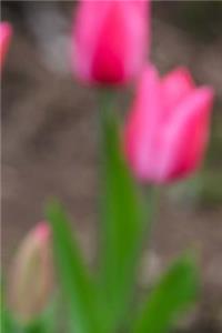 Pink Tulips Notebook
