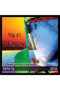 Trip #1 In Fantasy