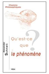 Qu'est-Ce Que Le Phenomene?