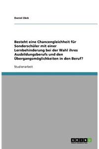 Besteht eine Chancengleichheit für Sonderschüler mit einer Lernbehinderung bei der Wahl ihres Ausbildungsberufs und den Übergangsmöglichkeiten in den Beruf?