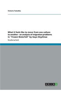 What it feels like to move from one culture to another - an analysis of migration problems in 