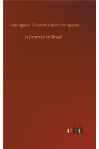 A Journey in Brazil