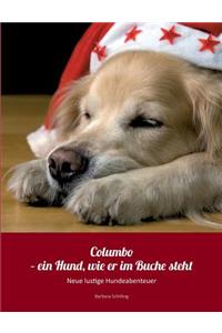 Columbo - ein Hund wie er im Buche steht