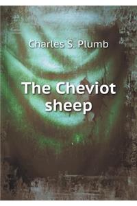 The Cheviot sheep