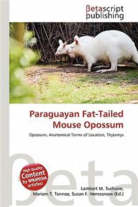 Paraguayan Fat-Tailed Mouse Opossum