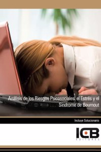Analisis de los Riesgos Psicosociales. el Estres y el Sindrome de Bournout (Educacion y Psicologia) (Spanish Edition)