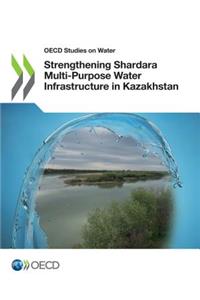 Strengthening Shardara multi-purpose water infrastructure in Kazakhstan