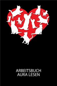 Arbeitsbuch Aura lesen