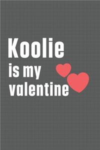 Koolie is my valentine