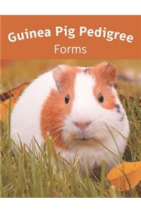 Guinea Pig Pedigree Forms