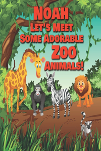 Noah Let's Meet Some Adorable Zoo Animals!