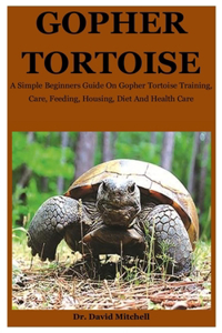 Gopher Tortoise