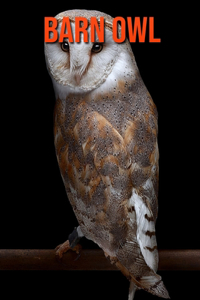 Barn owl