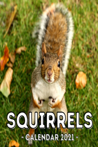 Squirrels Calendar 2021