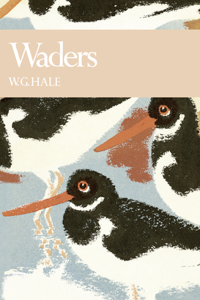 Waders