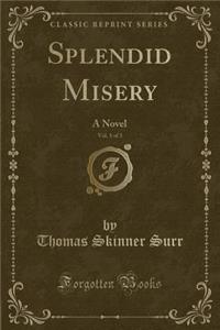 Splendid Misery, Vol. 1 of 3: A Novel (Classic Reprint)