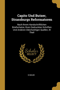 Capito Und Butzer, Strassburgs Reformatoren: Nach Ihrem Handschriftlichen Briefschatze, Ihren Gedruckten Schriften Und Anderen Gleichzeitigen Quellen, III Theil