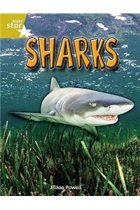 Rigby Star Independent Year 2 Gold Non Fiction Sharks Single