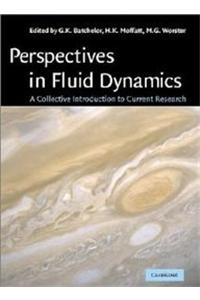 Perspectives in Fluid Dynamics