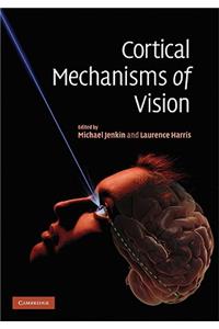 Cortical Mechanisms of Vision