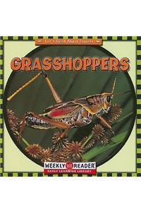 Grasshoppers