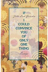 If I Could Convince You of Only One Thing