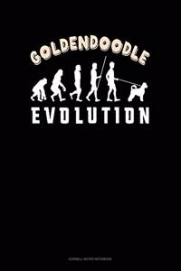 Goldendoodle Evolution