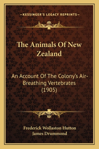 Animals Of New Zealand