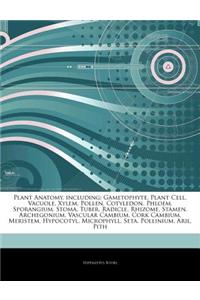Articles on Plant Anatomy, Including