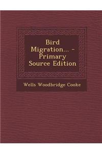 Bird Migration...