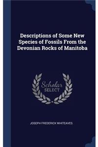 Descriptions of Some New Species of Fossils From the Devonian Rocks of Manitoba