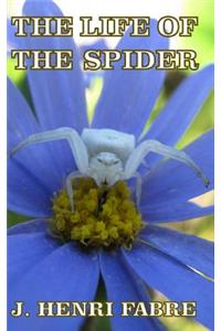 Life of the Spider