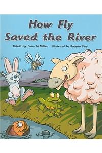 Rigby Flying Colors: Individual Student Edition Orange How Fly Saved the River