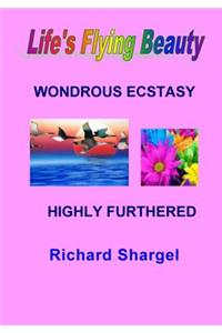 Life's Flying Beauty