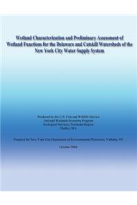 Wetland Characterization and Preliminary Assessment of Wetland Functions for the Delaware and Catskill Watersheds of the New York City Water Supply System