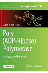 Poly(adp-Ribose) Polymerase