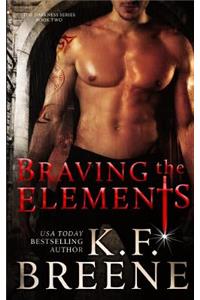 Braving the Elements (Darkness, 2)
