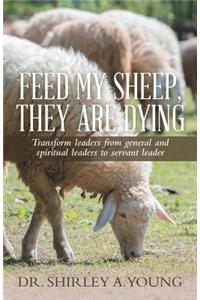 Feed My Sheep, They Are Dying