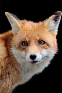 Red Fox Notebook & Journal. Productivity Work Planner & Idea Notepad