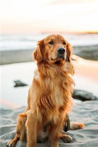 Golden Retriever Dog Pup Puppy Doggie Notebook Bullet Journal Diary Composition Book Notepad - Sunset at Beach