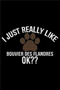 I Just Really Like Bouvier Des Flandres Ok?
