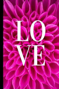 Love Sketch Book