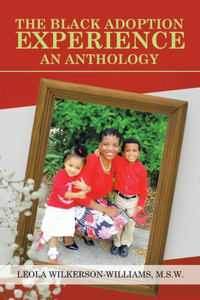 Black Adoption Experience an Anthology