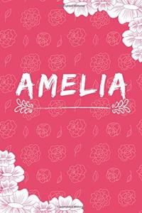 Amelia Notebook