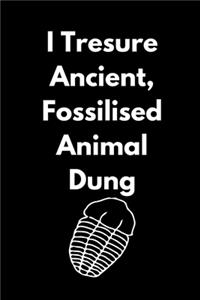 I Treasure Ancient, Fossilized Animal Dung