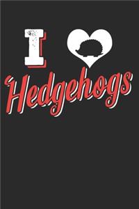 Igel Notizbuch