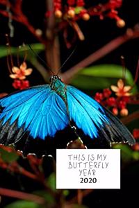 This Is My Butterfly Year