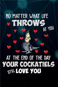 Your Cockatiels Still Love You