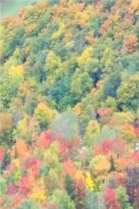 2019 Weekly Planner Fall Foliage Mountain View 134 Pages